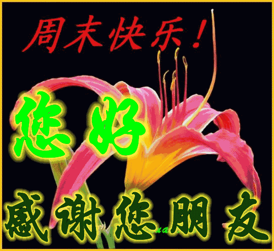 田向洪老师精典语录欣赏(图3)