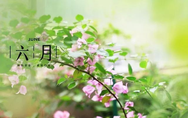 田向洪老师精典语录欣赏(图4)