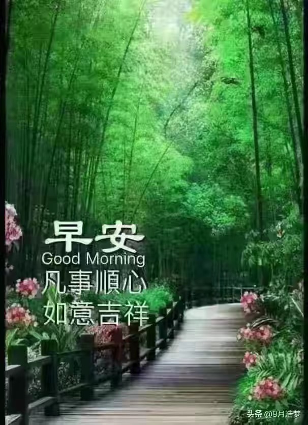 田向洪老师精典语录欣赏(图5)