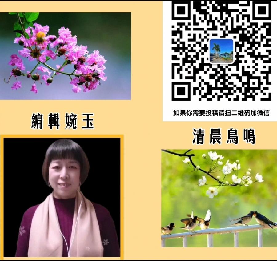 音画诗朗诵《我想你了》诵读/何永利 音画制作/婉玉(图9)
