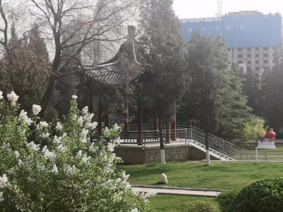 校园诗刊专栏‖母校的丁香花开了 作者朗读/伊月儿(图7)