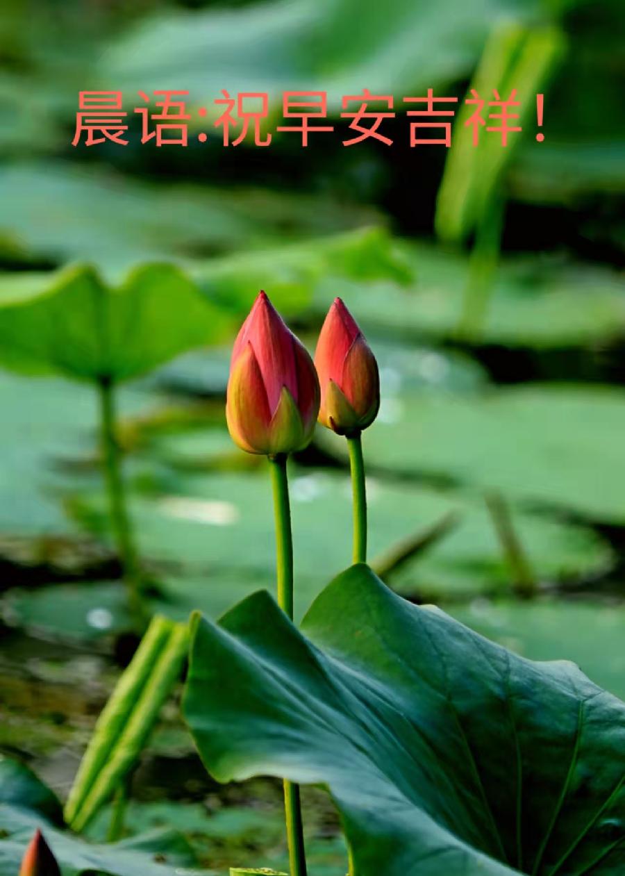 《故道文化•副刊》第二一六期：张荣岐古诗