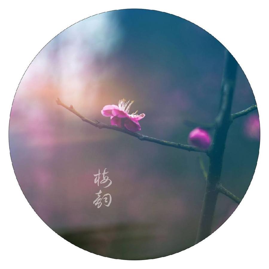 【翰林国粹诗社】诗人晓客（“江城子”词专辑）（图29）