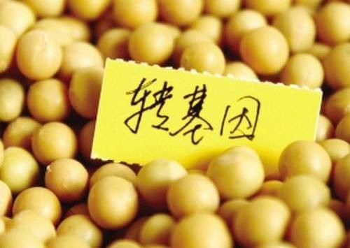 【翰林国粹诗社】诗人晓客（“江城子”词专辑）（图30）