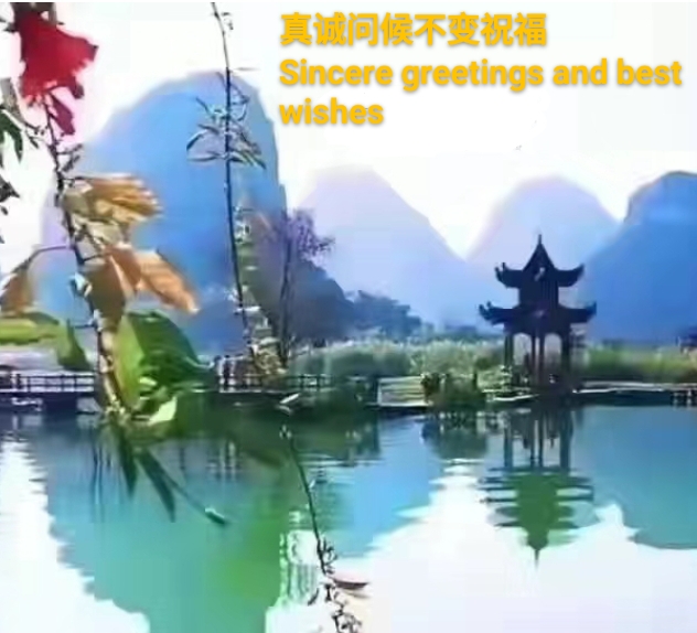 李平华《有友如长海不亦乐乎》丨中国桂柳之春都市文学社80期（图33）