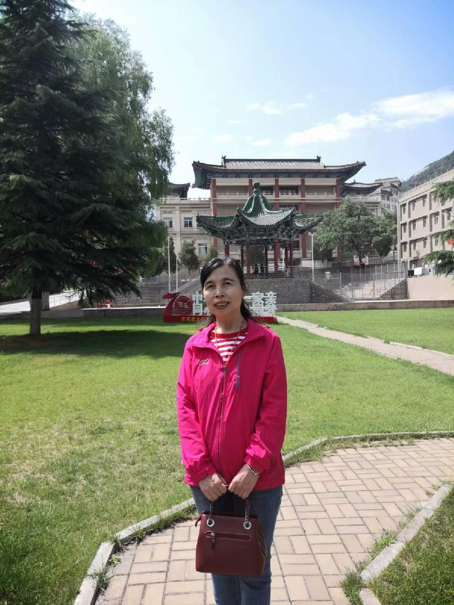 校园诗刊专栏‖母校的丁香花开了 作者朗读/伊月儿(图6)