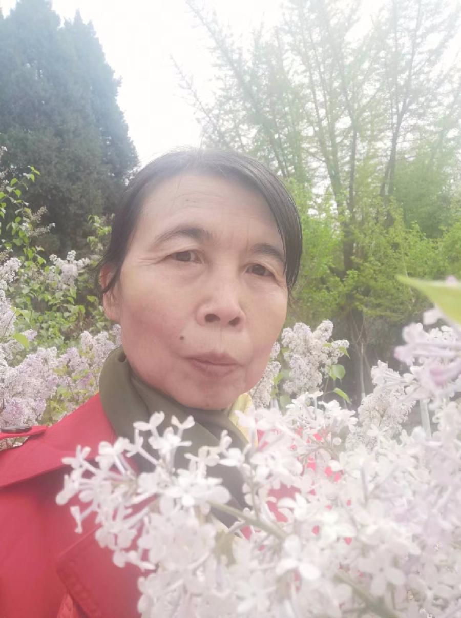 校园诗刊专栏‖母校的丁香花开了 作者朗读/伊月儿(图8)
