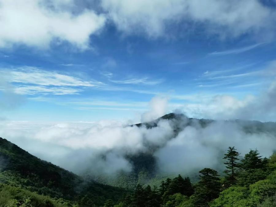红霞旅游诗词九首(图31)