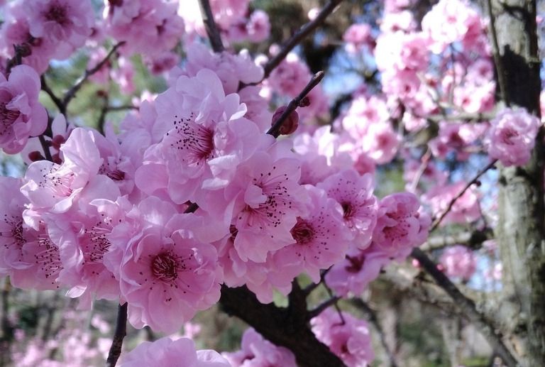 【华夏好诗词】分享南子苏组诗请欣赏（图5）