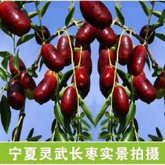 联机全球发布于金奎精品诗歌（图8）