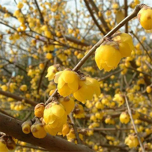 中华诗艺九江格律诗词精品鉴赏（合辑）第1458期（图54）