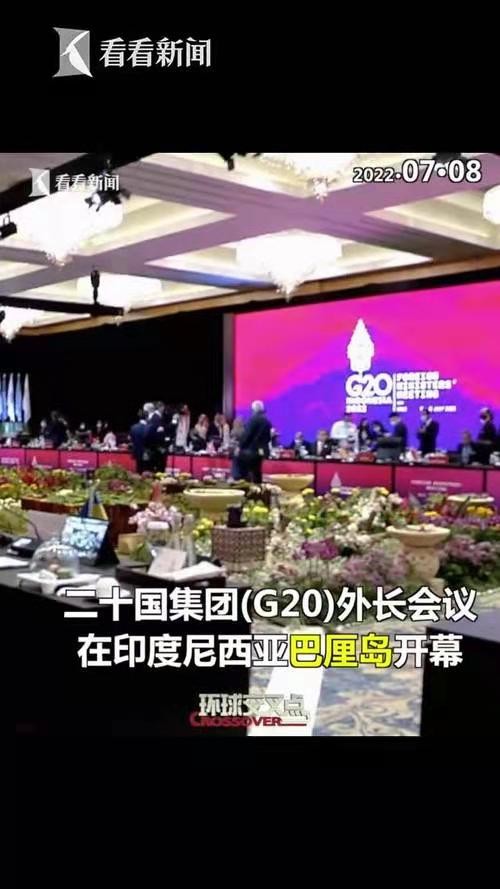 乾荷叶-G20外长巴厘会争吵中结束* 文/冯志清(上海)【冰心文化传媒】主编 冰心(图3)