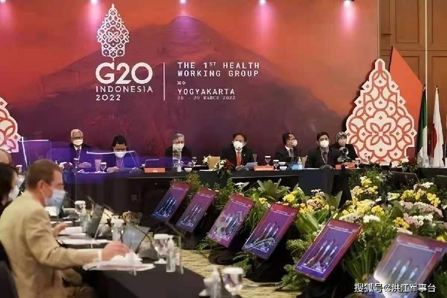 乾荷叶-G20外长巴厘会争吵中结束* 文/冯志清(上海)【冰心文化传媒】主编 冰心(图4)