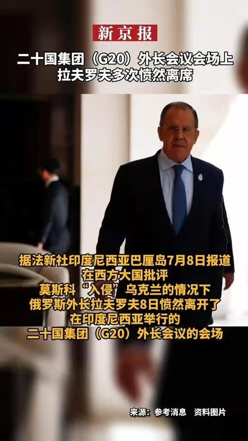 乾荷叶-G20外长巴厘会争吵中结束* 文/冯志清(上海)【冰心文化传媒】主编 冰心(图11)