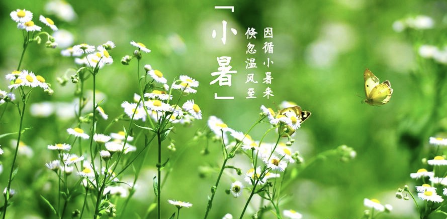 《🇨🇳中国人民诗刊》《中国人民诗社》(第2101期)百花齐放:姹紫嫣红(图19)