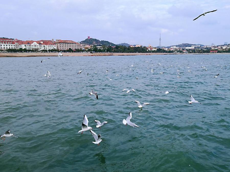 纪实文学《商海行踪》第五集、胶东行之二 文/鲁汉(图3)