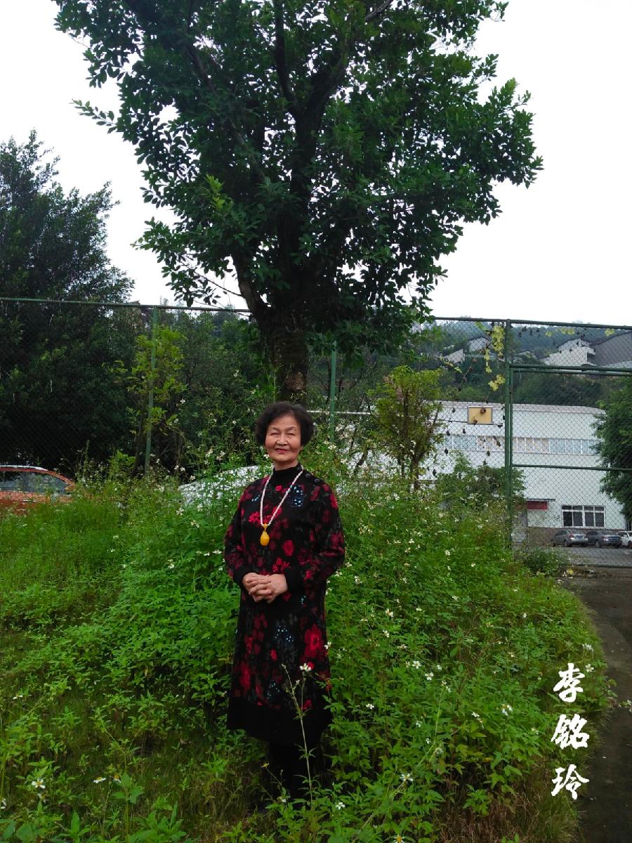 《锦城的故事◎特刊专集》诗文◎陶德元(图66)