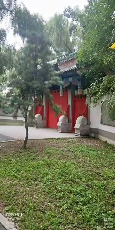 忘却痛苦和忧伤 记住美好的时光（图17）
