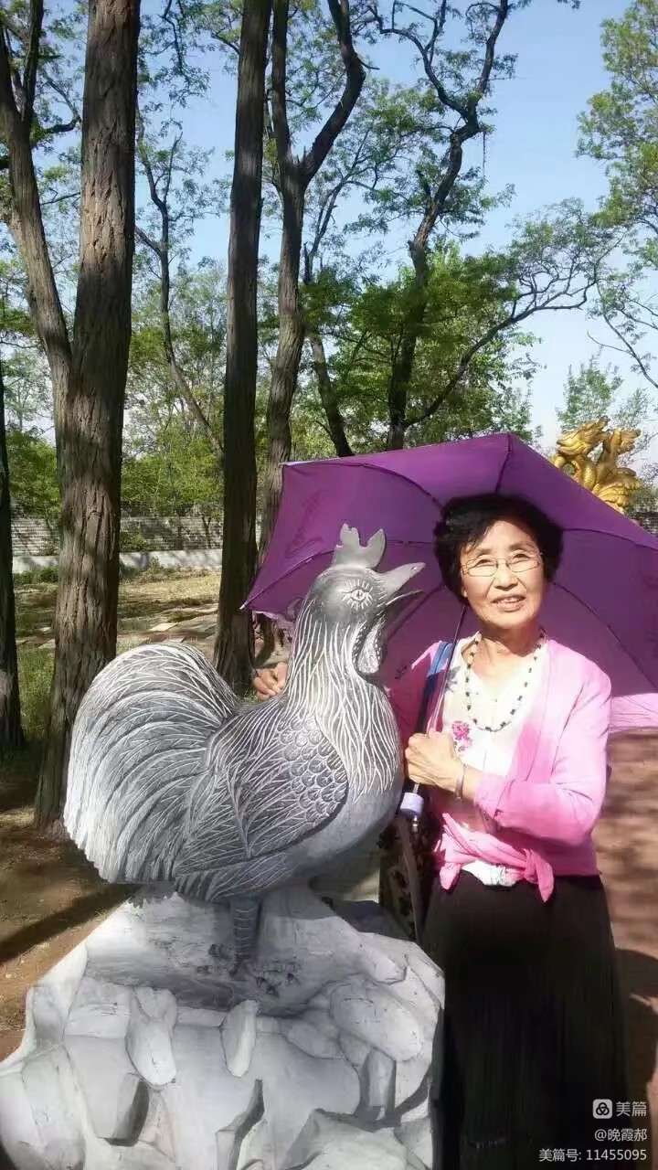 忘却痛苦和忧伤 记住美好的时光（图22）