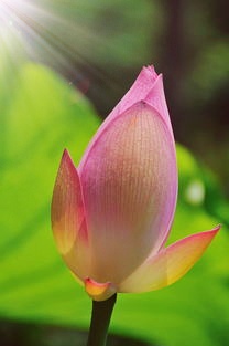 【都市头条向幸福出发编辑部】第1201期老王赏析《清平乐》原稿作者王殿奎(图2)