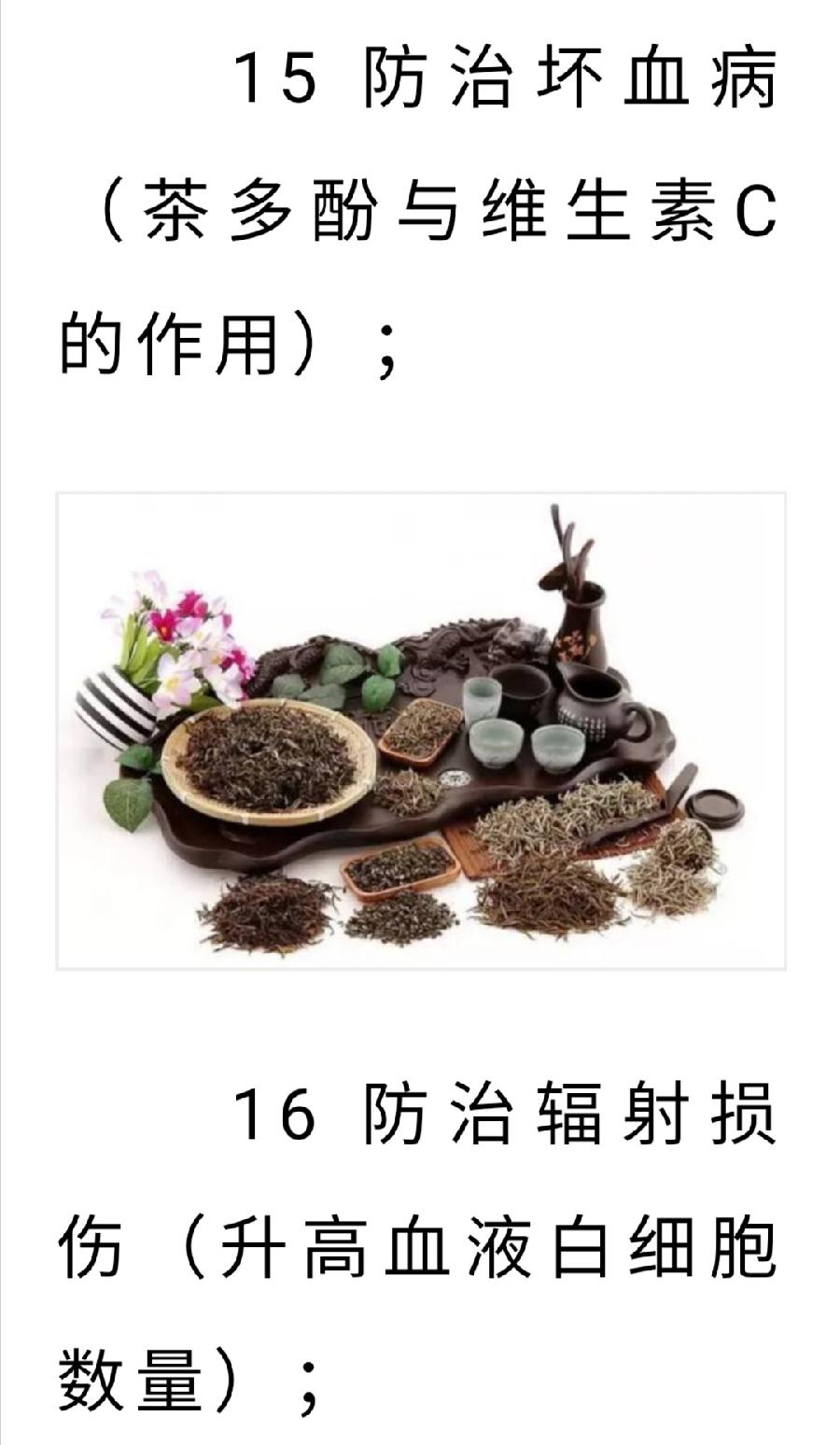 茶叶为什么是人体器官的“保护伞”，答案终于齐了！（图7）