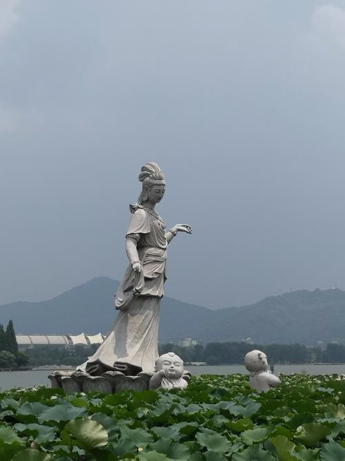 去看一朵盛开的莲 文 / 肖勤 诵读/蓝沁 京津沪头条文学平台发布(图4)