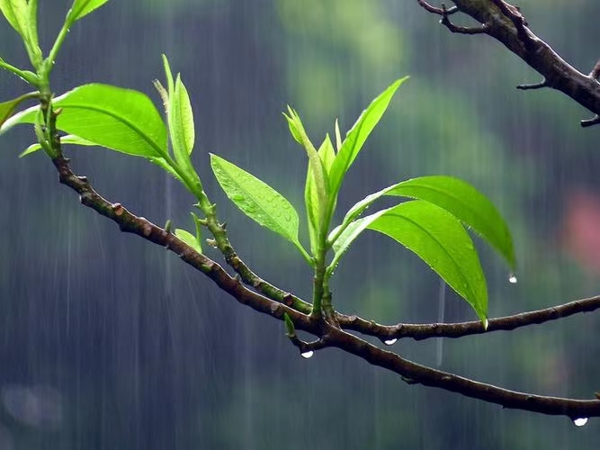 《江南-尘缘诗选》（图12）
