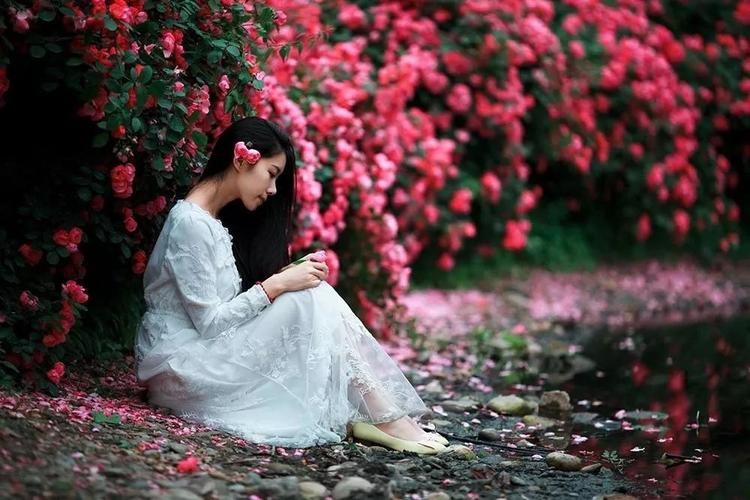 【经典推荐】昨夜天//恰好又见 那一场花开（图3）