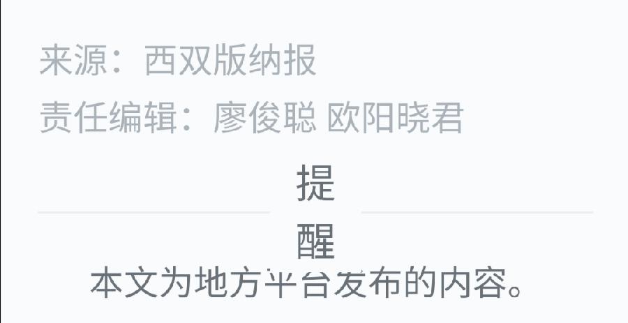 云南西双版纳允景洪小学:以“美”育人 春风化雨(图9)