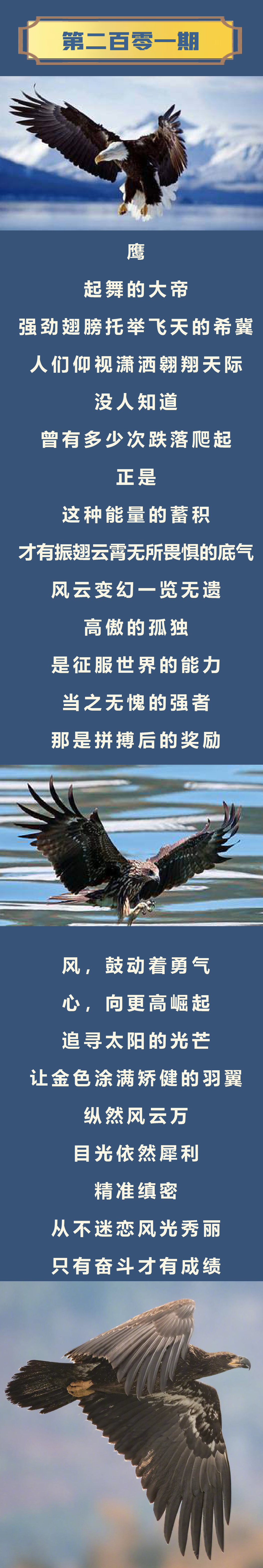 闆勯拱-2.png