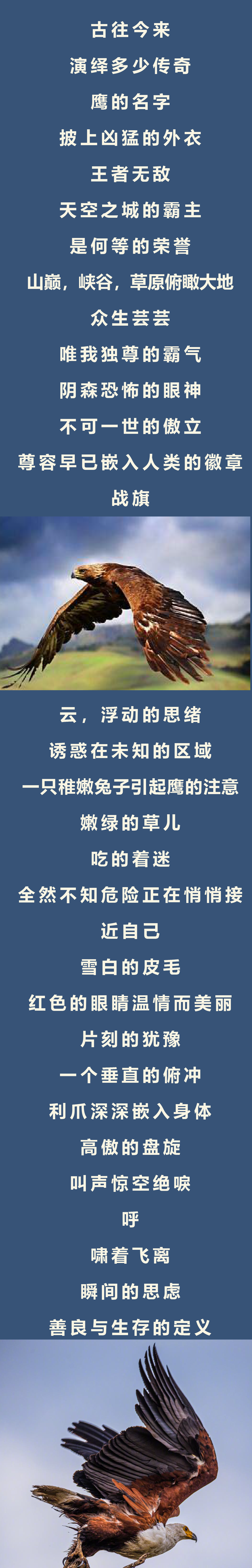 闆勯拱-3.png
