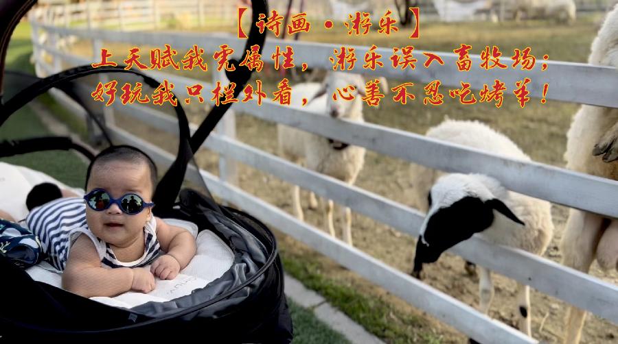 【诗画•潇洒】十二首（图7）
