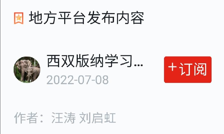 云南西双版纳允景洪小学：以“美”育人 春风化雨