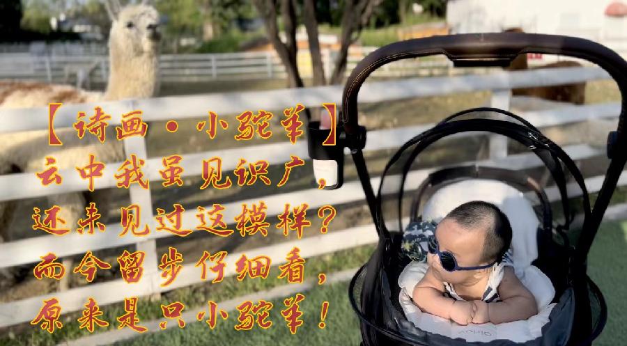 【诗画•潇洒】十二首（图6）