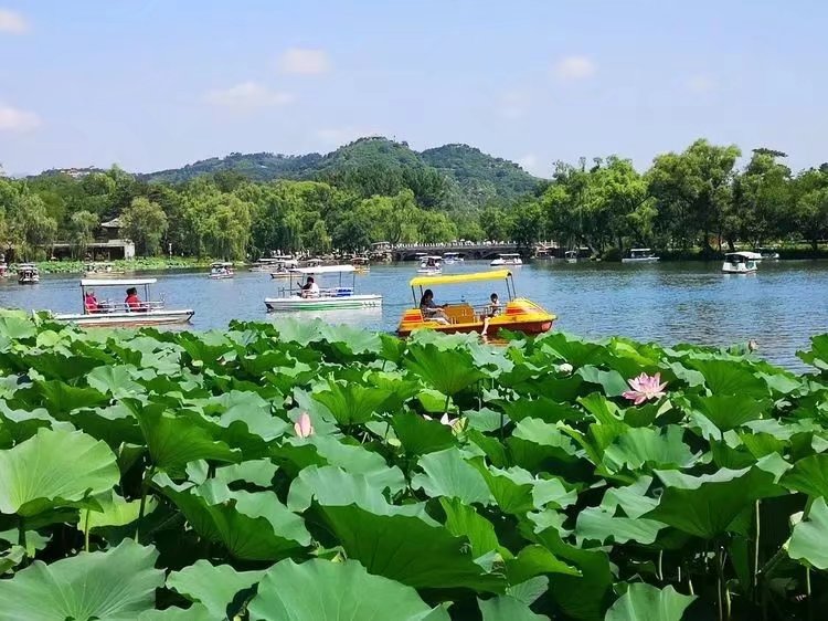 推荐诗人温俊满词《水龙吟•夏游避暑山庄》（图2）