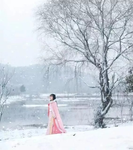 请欣赏名家荐读《雪，飘落在时光的美丽》||作者/潘杰||主播/山谷幽兰||陕甘青藏头条（图4）