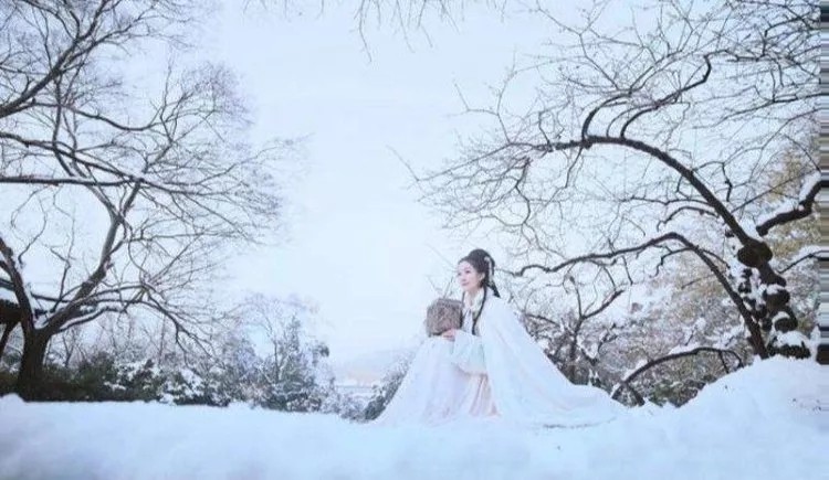 请欣赏名家荐读《雪,飘落在时光的美丽》||作者/潘杰||主播/山谷幽兰||陕甘青藏头条(图5)