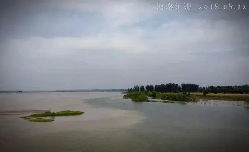 [桃源国际诗歌馨声]活着|作者:红韭（山东）诵读:青苗[总1132期]（图4）