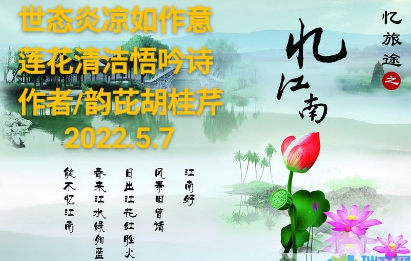 野草先生引人深思《烟雨里的狂妄》丨中国桂柳之春都市文学社81期丨编辑韵芘胡桂芹感怀（图7）