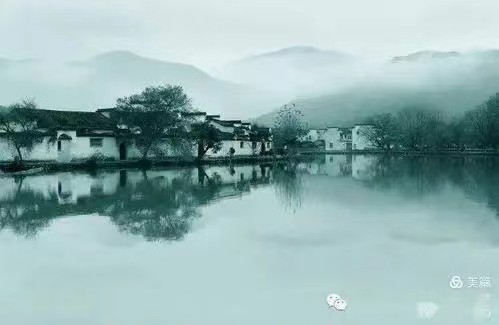 野草先生引人深思《烟雨里的狂妄》丨中国桂柳之春都市文学社81期丨编辑韵芘胡桂芹感怀(图3)