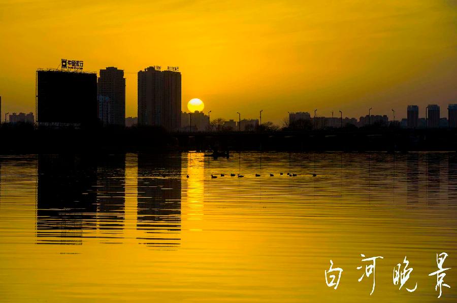 【枫雅汇看图约诗】诗人焦勇《201期》（白河情）（图8）
