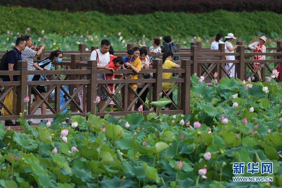 夏日纵歌(二十首)文/郑占荣(图5)