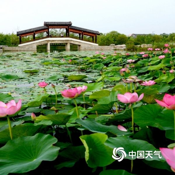 夏日纵歌(二十首)文/郑占荣(图6)