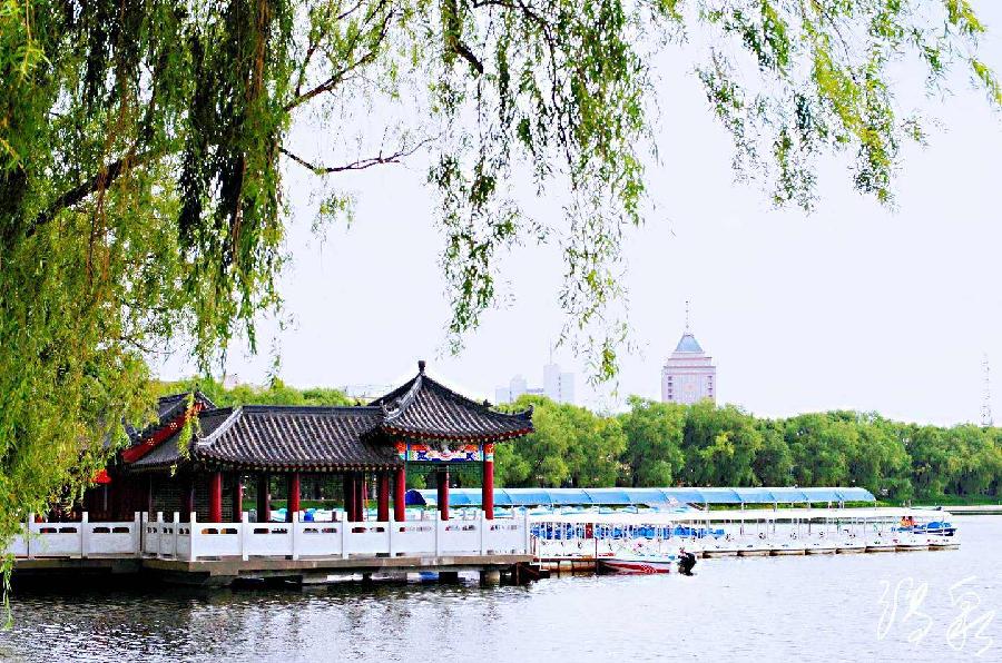 夏日纵歌(二十首)文/郑占荣(图9)