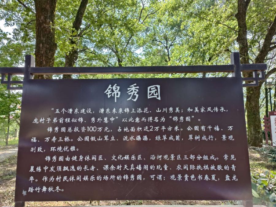 【当代文艺】《荷月观荷在漕东》作者:蒋四清(图10)