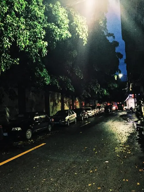听 雨‖文图/赵京江（图7）