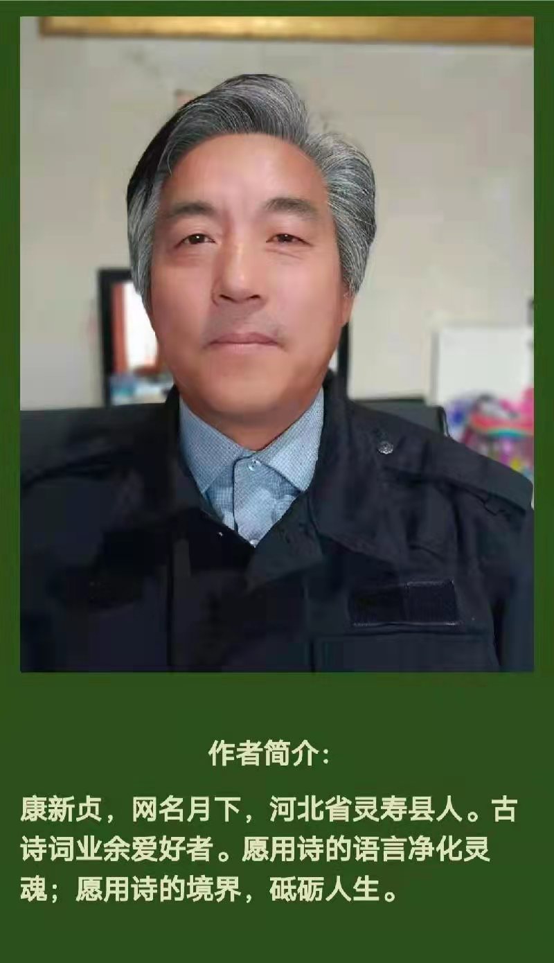 月下《七律·宁负春秋不负梅》诵/玉华（图4）