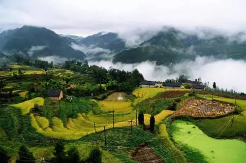 我的故乡早科村（图2）