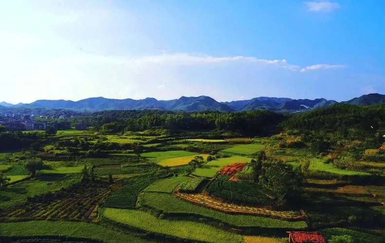 我的故乡早科村（图5）