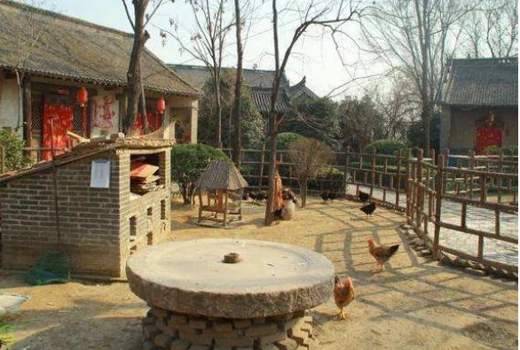 我的故乡早科村（图12）